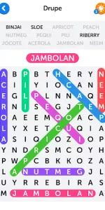Word Search app screenshot 2