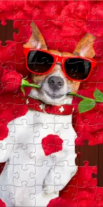 Jigsaw Puzzles Explorer app screenshot 12