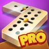 Dominoes Pro Offline or Online app icon