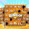 Breaking News: Bingo Showdown  in the Games Space