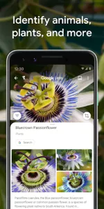 Google Lens app screenshot 4