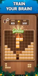 Wooden 100 Block Puzzle Game app screenshot 1