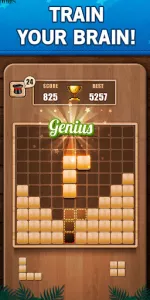 Wooden 100 Block Puzzle Game app screenshot 8