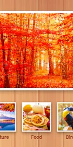 Jigsaw Puzzles Explorer app screenshot 23