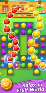 Fruit Fancy app screenshot 17